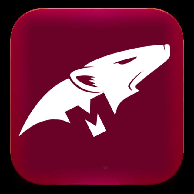Mongoose Essentials